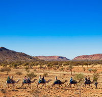 Alice Springs Camel Tour - Food Delivery Shop