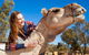 Alice Springs Camel Tour - thumb 2