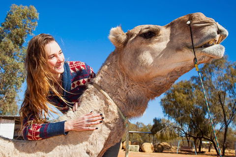 Alice Springs Camel Tour - Food Delivery Shop 2