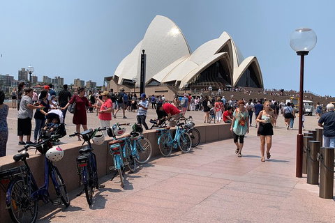 The Sydney Express - Food Delivery Shop 4