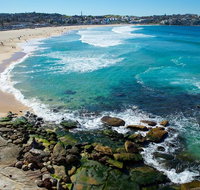 Private Sydney Foreshores and Beaches SUV Tour - Food Delivery Shop