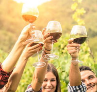 Adelaide Hills Day Tour. Winery Cellar Doors - Food Delivery Shop