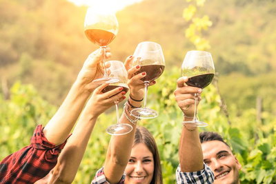 Adelaide Hills Day Tour. Winery Cellar Doors