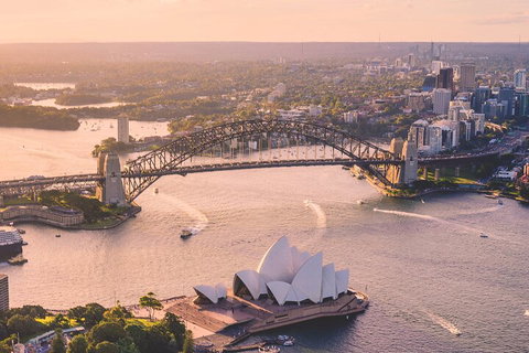 Private Sunset Helicopter Flight Over Sydney & Beaches For 2 Or 3 - 30 Minutes - Food Delivery Shop 1