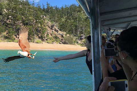 Aquascene Magnetic Island Discovery Tour - Pet Food Australia 2