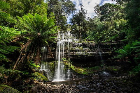 3-Day Tour To The Falls, Mountains, Lake & More Of West Coast Tasmania - Food Delivery Shop 4