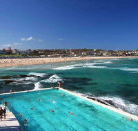 Private Sydney City and Bondi Beach Half Day Tour - Food Delivery Shop