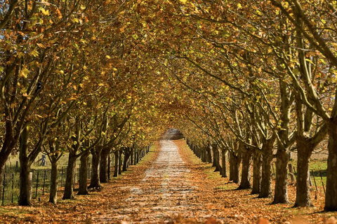 Private Southern Highlands Day Trip From Sydney Including Fitzroy Falls - Food Delivery Shop 4