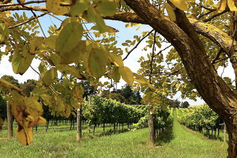 Private Southern Highlands Day Trip From Sydney Including Fitzroy Falls - Food Delivery Shop 5