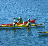 Half-Day Sydney Middle Harbour Guided Kayaking Eco Tour - Food Delivery Shop