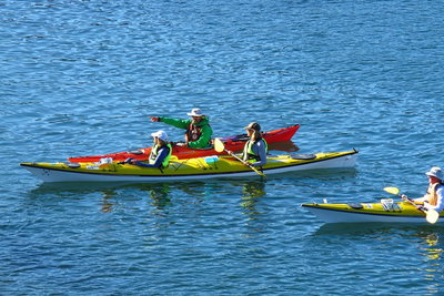 Half-Day Sydney Middle Harbour Guided Kayaking Eco Tour