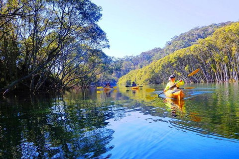 Half-Day Sydney Middle Harbour Guided Kayaking Eco Tour - Food Delivery Shop 1