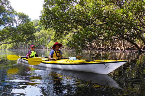 Half-Day Sydney Middle Harbour Guided Kayaking Eco Tour - Food Delivery Shop 3