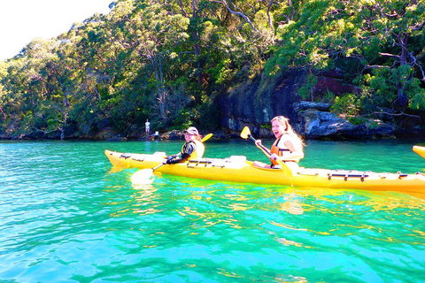 Half-Day Sydney Middle Harbour Guided Kayaking Eco Tour - Food Delivery Shop 4