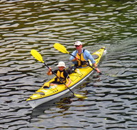 Self-Guided Sydney Middle Harbour Kayak 3 Hour Tour by Double Kayak - Food Delivery Shop