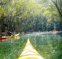 Middle Harbour Mangrove Explorer - Food Delivery Shop