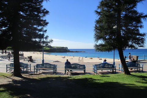 Private Coogee To Bondi Walk From Your City Hotel - Pet Food Australia 0