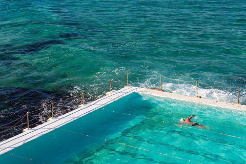 Private Coogee To Bondi Walk From Your City Hotel - Pet Food Australia 2