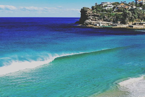 Sydney & Bondi Beach Plus Local Secrets With 'Personalised Sydney Tours' - Food Delivery Shop 1