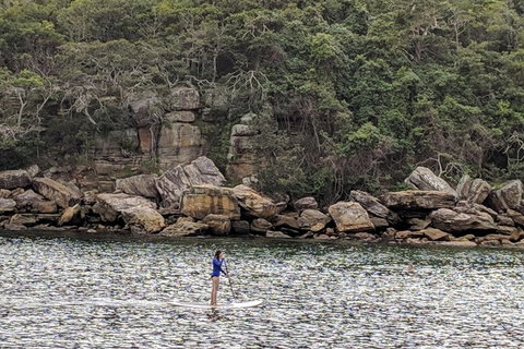 Manly & Sydney's Northern Beaches With 'Personalised Sydney Tours' - Food Delivery Shop 3