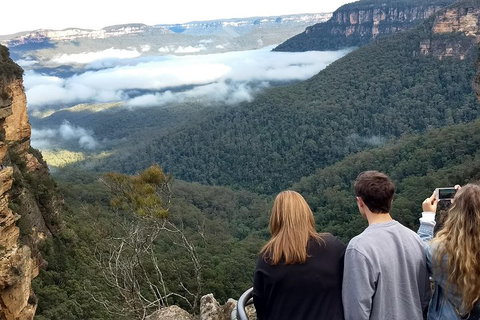 Blue Mountains Private Tour - Wild Kangaroos, Waterfalls And The Three Sisters - Food Delivery Shop 3