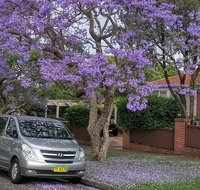 Sydney Secrets  Bondi Beach Private 4 Hr Morning with Personalised Sydney Tours - Food Delivery Shop