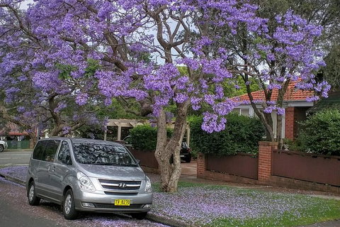 Sydney Secrets & Bondi Beach Private 4 Hr Morning With Personalised Sydney Tours - Food Delivery Shop 0
