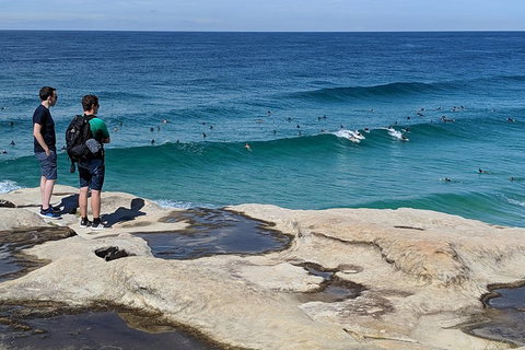 Sydney Secrets & Bondi Beach Private 4 Hr Morning With Personalised Sydney Tours - Food Delivery Shop 2