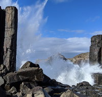 Erupting Blowholes and Ancient Rainforests with 'Personalised Sydney Tours' - Food Delivery Shop