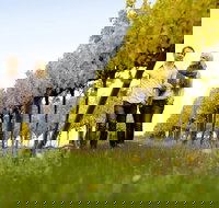 2-Day Private Daylesford  Macedon Ranges Gourmet Food Trail Tour from Melbourne - Pet Food Australia