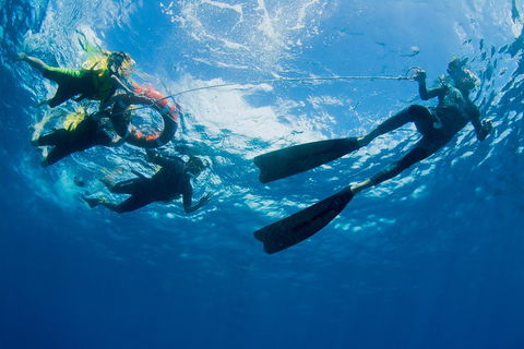 Passions Of Paradise Great Barrier Reef Snorkel And Dive Cruise From Cairns By Luxury Catamaran - Food Delivery Shop 2