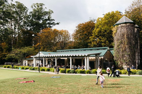 '56 Chevrolet 6-Hour Dandenong Ranges Classic Car Private Tour (4 Person) - Food Delivery Shop 5