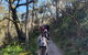 Mount Lofty Hike And Cleland Wildlife Park Day Trip From Adelaide - thumb 3