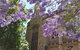 Cultural Caper Adelaide Walking Tour - thumb 1
