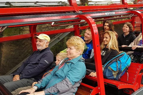 Blue Mountains Ultimate One-Day Tour - Pet Food Australia 0