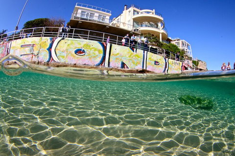 Bondi Like A Local: Half-Day Sightseeing Tour Including Surf Lesson - Food Delivery Shop 4