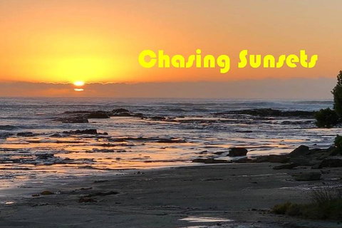 Royal Enfield Continental GT 650cc - Pet Food Australia 0