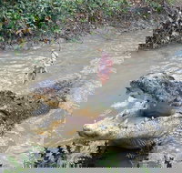 Top End Waterfalls and Wetlands - Food Delivery Shop