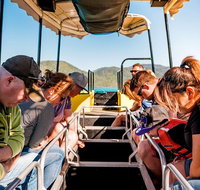 Airlie Beach Glass Bottom Boat Tour - Food Delivery Shop