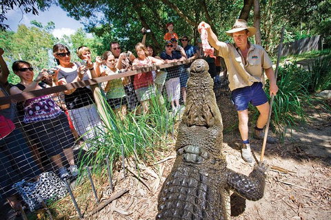 Hartley's Crocodile Adventure Half-Day Tour - Food Delivery Shop 4