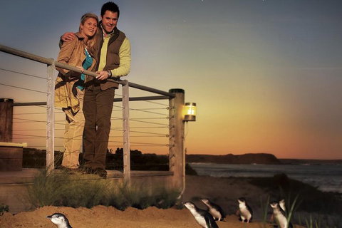 The Ultimate Melbourne Attractions Pass - Food Delivery Shop 3