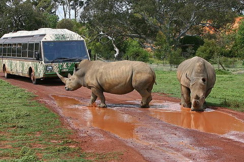 The Ultimate Melbourne Attractions Pass - Food Delivery Shop 4