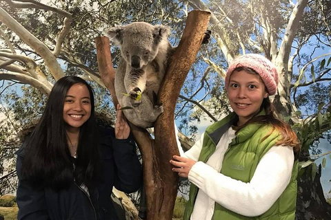 The Ultimate Sydney Attractions Pass - Food Delivery Shop 1