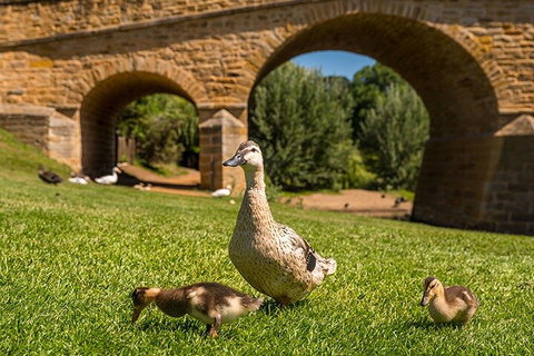 Richmond Historic Afternoon Tour From Hobart - Food Delivery Shop 1