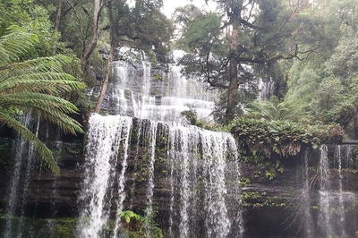 6-Day Hearty Tasmania Tour Tasmania in a Circle
