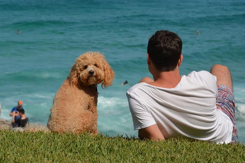 See Sydney With A Local: Private & Personalized - Food Delivery Shop 5