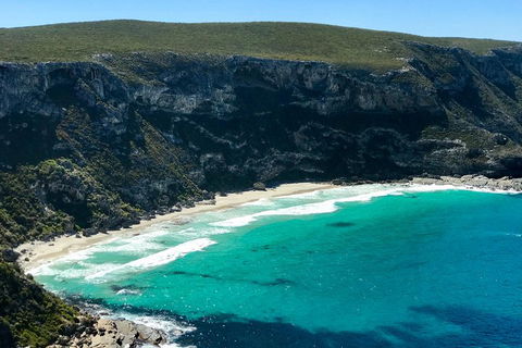 Kangaroo Island Scenic Trail Tour - Food Delivery Shop 4