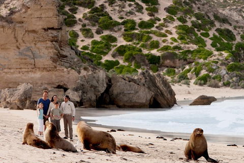 Kangaroo Island Scenic Trail Tour - Food Delivery Shop 5