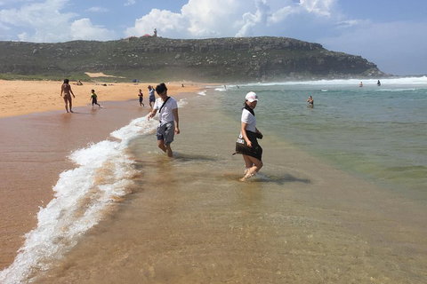 Small-Group Sydney's Northern Beaches And Ku-ring-gai National Park Bus Tour - Food Delivery Shop 5