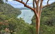 Shore Excursion: Sydney's Northern Beaches & Ku-ring-gai National Park Bus Tour - thumb 1